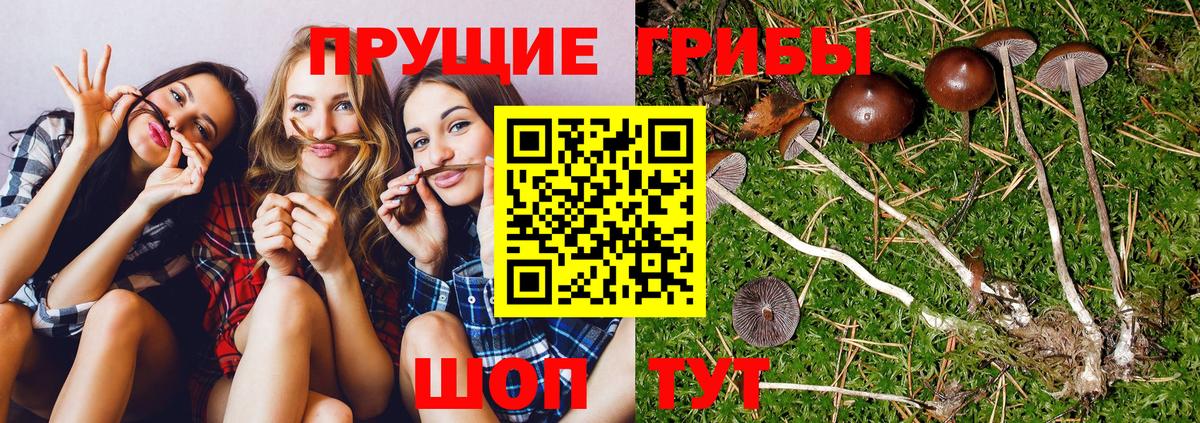 Псилоцибиновые грибы ЛСД Вичуга