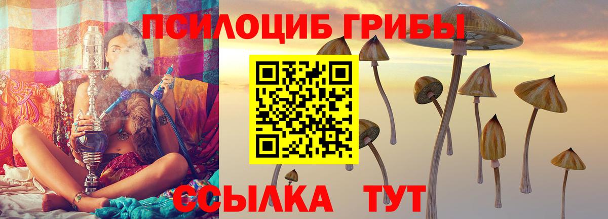 Галлюциногенные грибы ЛСД  Вход с VPN  Вичуга 